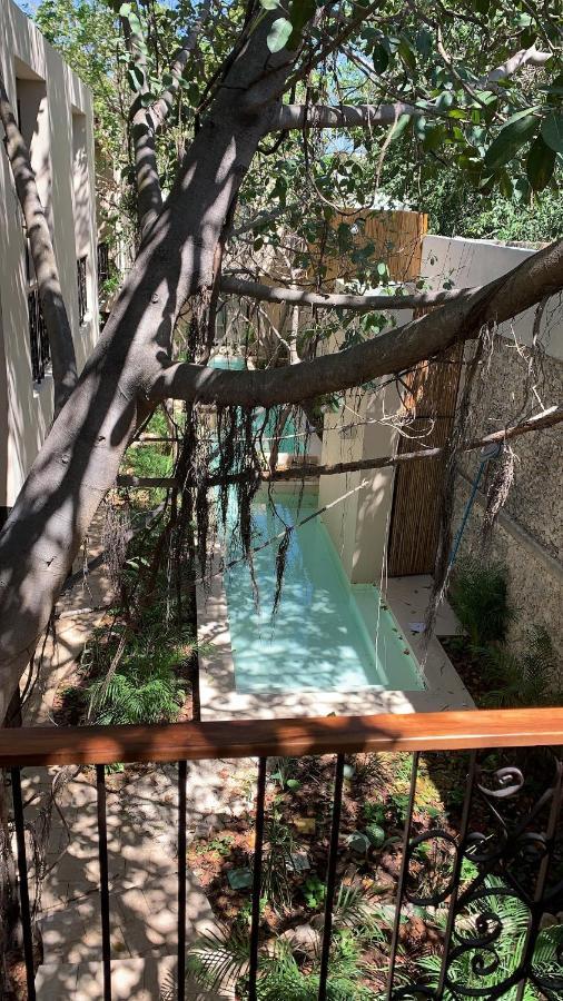 Treehouse Boutique Hotel, An Adults Only Boutique Hotel Мерида Экстерьер фото