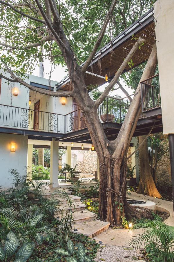 Treehouse Boutique Hotel, An Adults Only Boutique Hotel Мерида Экстерьер фото